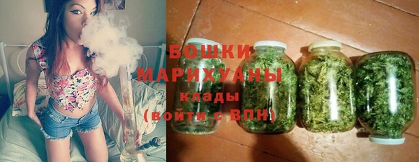 амф Арсеньев