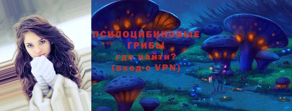 амф Арсеньев