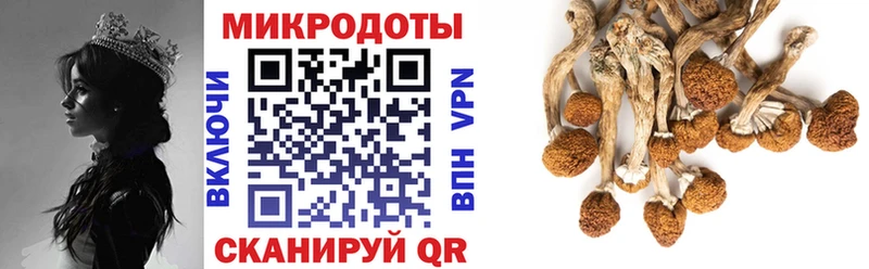 купить наркотики сайты  Межгорье  Галлюциногенные грибы Psilocybe 